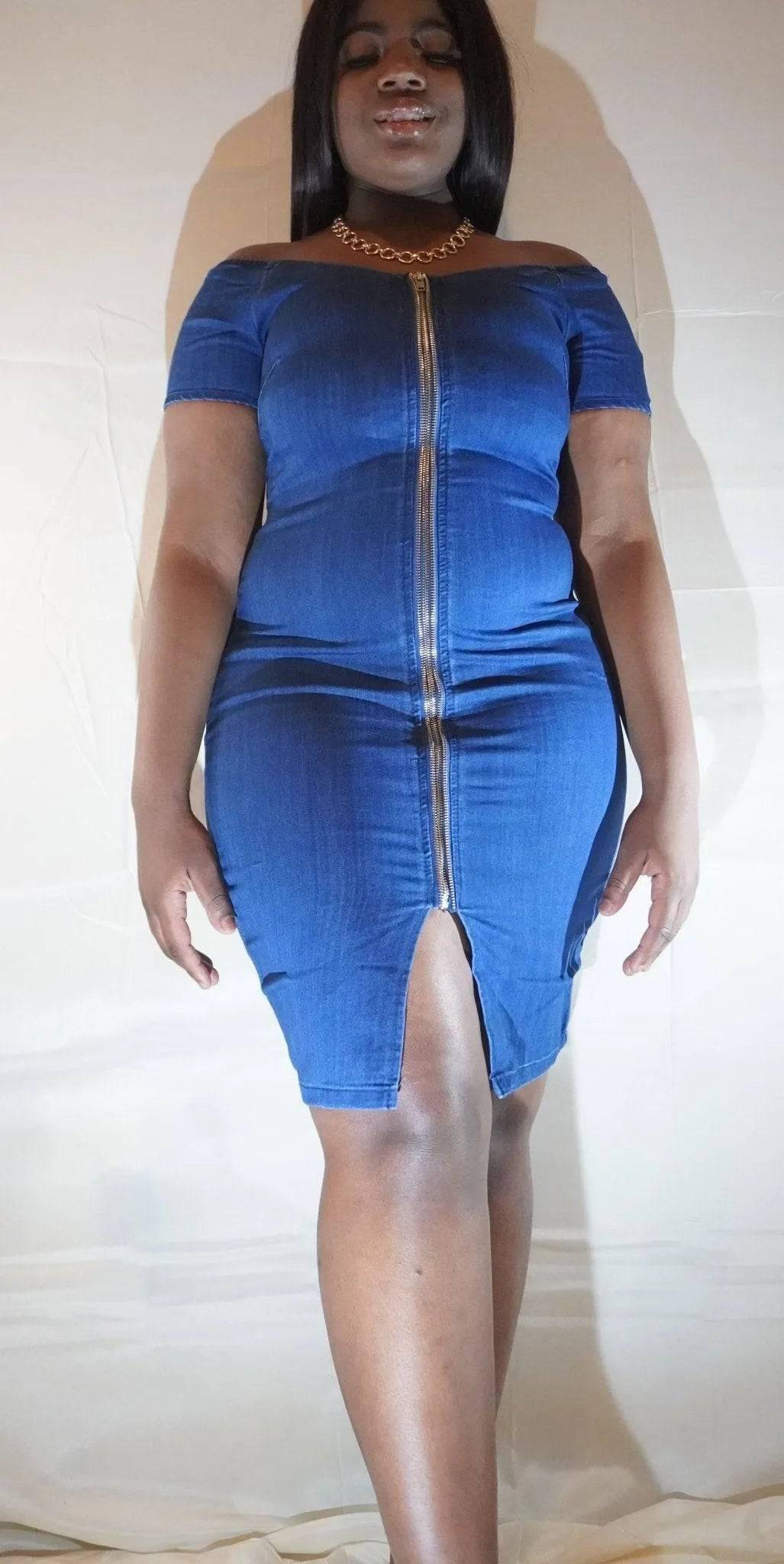 Zapper Denim Zip Front Dress.