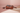 Jade Wallet Wristlet Cognac - Blush Editorial